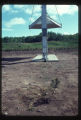 Rhinelander radiation field