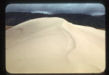 Coos Bay Dunes, near Hauser, Oregon
