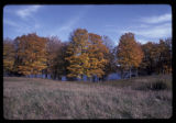 Carver County, 1981.
