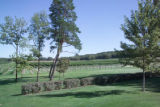 Milroy Vineyard near Redwood Falls, Minnesota.