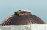 Worker on top of Kathryn A. Martin Library dome
