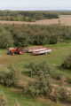 Apple Junction orchard in Washington County, Minnesota.