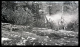 Alaska