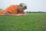 Perennial ryegrass variety development and winter hardiness testing. Research plots on St. Paul Campus, University of Minnesota.