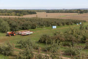 Apple Junction orchard in Washington County, Minnesota.