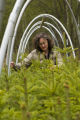 Carrie Pike with spruce subjected to different levels of early spring warming to simulate climate change and its effect on growth.