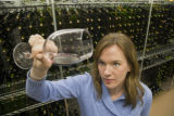 Katie Cook, Enology Project Leader doing sensory evaluation of Minnesota wines at the Horticultural Research Center.