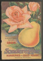 Sonderegger Spring 1925 Garden Book