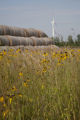 Biomass and wind power, alternative energy research at the University of Minnesota, West Central Research and Outreach Center, Morris.