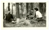 Botany photographs, Lake Itasca, Lake Bemidji, Lake Vermilion, and Nerstrand Woods (Box 33, Folder 360)