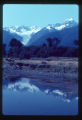Fox Glacier and Mount Cook reflected in Lake Matheson
