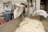Making cheddar cheese in the Pilot Plant in the Food Science and Nutrition Building, St. Paul campus, University of MInnesota.