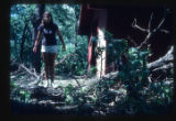 Camp Butwin staff stands on a a tree after it was damaged by a storm, Eagan, Minnesota