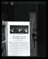 Down feather, Ostrich, article from J.E. Duerden's "Ostrich Farming in South America in the American Museum Journal