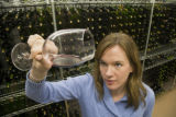 Katie Cook, Enology Project Leader doing sensory evaluation of Minnesota wines at the Horticultural Research Center.