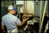 Milking parlor