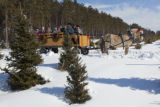 Hansen Tree Farm, horse drawn wagon rides. Christmas trees.