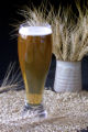 "MnBRITE" barley variety, released 1998