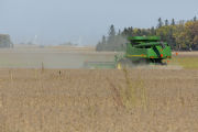 Harvesting soybeans on the Craven farm in Jackson County, Minnesota.