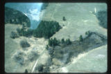 Aerial. Lundgren white pines