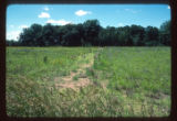 Mickelson Farm old field pipe 2