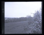 Background, wolfberry on hill