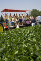 Soybean plots of University of Minnesota soybean researcher Seth Naeve for soybean production research.