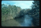 Bogue Chitto River crossing Southeast of Summit