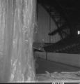 Flight 19 image 773