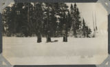 Group of three people snowshoeing and dragging a sled on Mary Lake