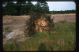 South of Soderville, Anoka County, Minnesota, beside Highway 65