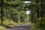 Forests and watersheds of Northeast Minnesota.