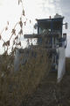 Soybean plot harvest at the University of Minnesota, Southern Research and Outreach Center, Waseca.
