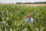 Corn rootworm susceptibility in some lines of BT corn.