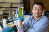 Enzyme engineering and nanotechnology. Research of biofuel biopolymers and specialty chemicals. Development of self-cleaning coatings.
