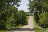 Gravel road and hardwoods in Freeborn County, southern Minnesota.