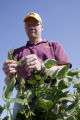Seth Naeve, soybeans, Agronomy Centennial tours, St. Paul Campus, August, 2010.