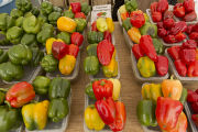 Farmers' market in Roseville, Minnesota in late September.