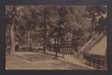 A Class on the Knoll, Young Men's Christian Assn. Camp on Lake Geneva, Wis.
