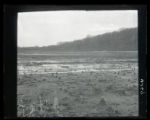 Background, Snipe marsh