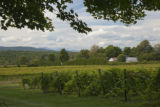 Lincoln Peak Vineyard and Winery, New Haven, Vermont.