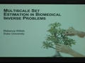 Multiscale Set Estimation in Biomedical Inverse Problems