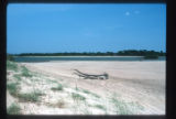 South of San Fernando de Apure National Park, Los llanos