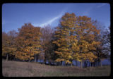 Carver County