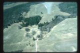 Aerial. Lundgren white pines