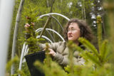 Carrie Pike with spruce subjected to different levels of early spring warming to simulate climate change and its effect on growth.