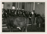 Peters, Walter Harvest
