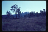 Near Derwent River