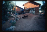 Near Stone Forest 70 miles south of Kunming. Agricultural village of minority Sani people.