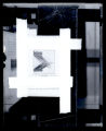 Feather structure Barbules model, illustration from William Beebe's "The Bird Its Form and Function"